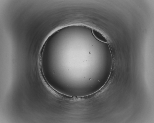 X0000115771526200911201208