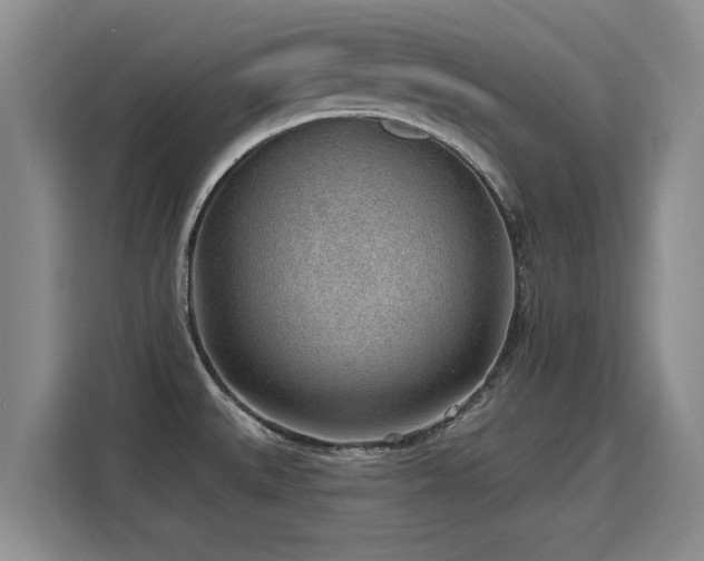 X0000115771527200911201208