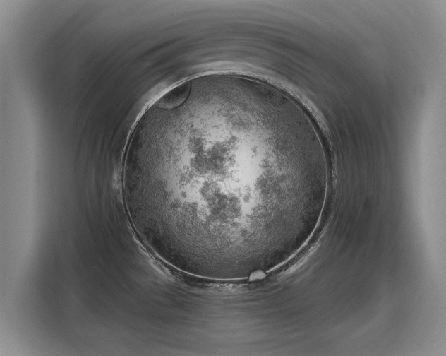 X0000115771529200911201208