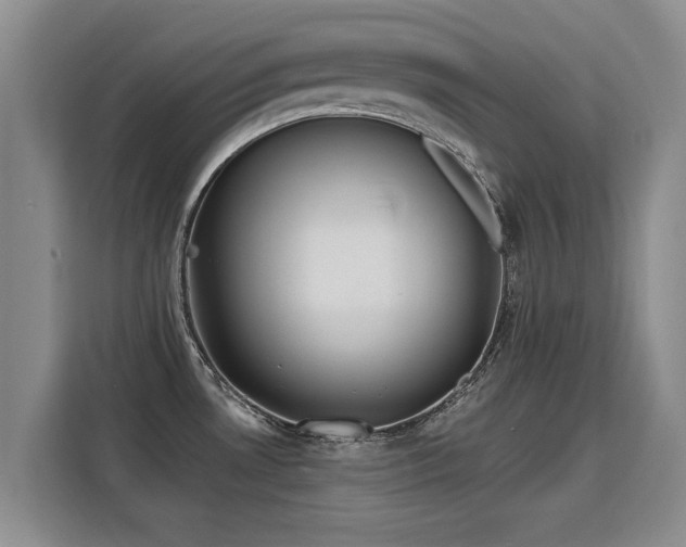 X0000115771530200911201208