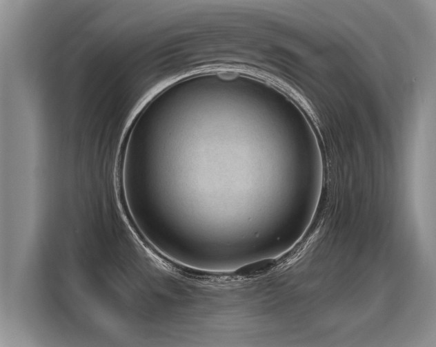 X0000115771533200911201208