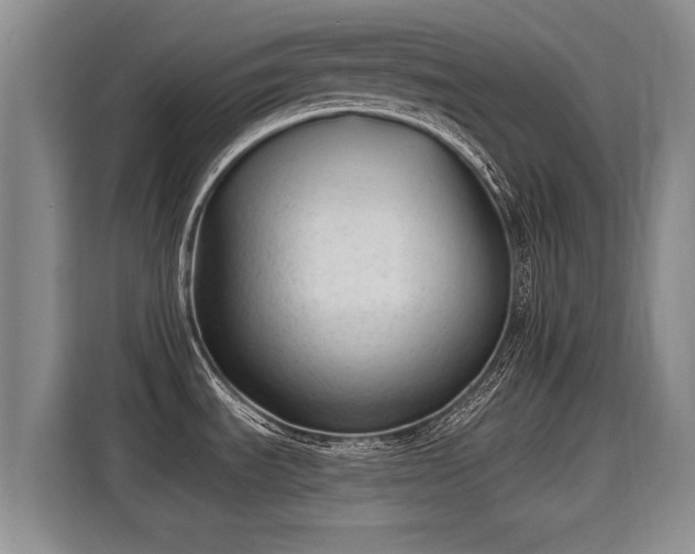 X0000115771535200911201208