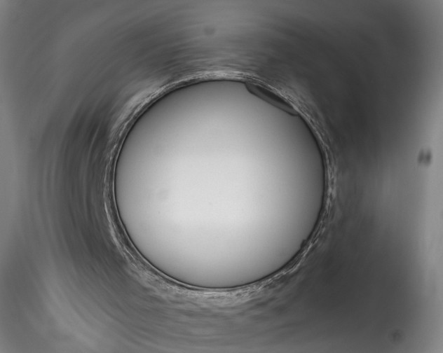 X0000115770001200911271151