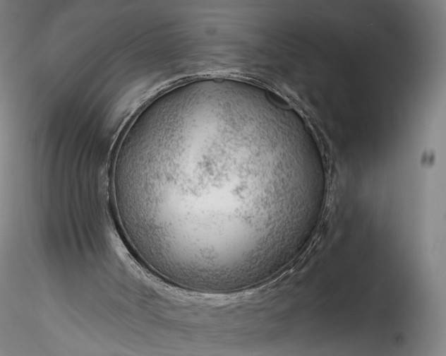 X0000115770002200911271151