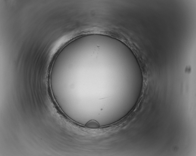 X0000115770006200911271151