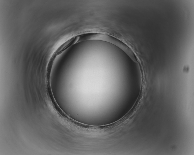 X0000115770008200911271151