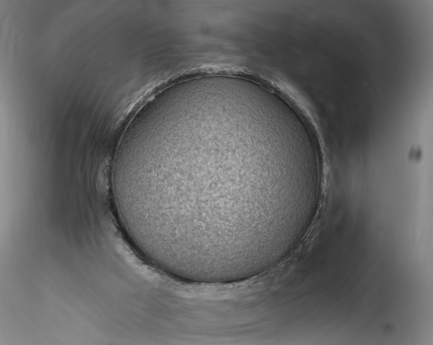 X0000115770009200911271151