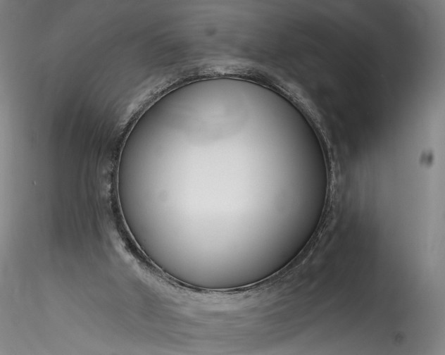 X0000115770010200911271151