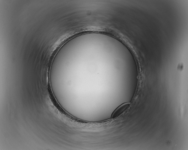 X0000115770011200911271151