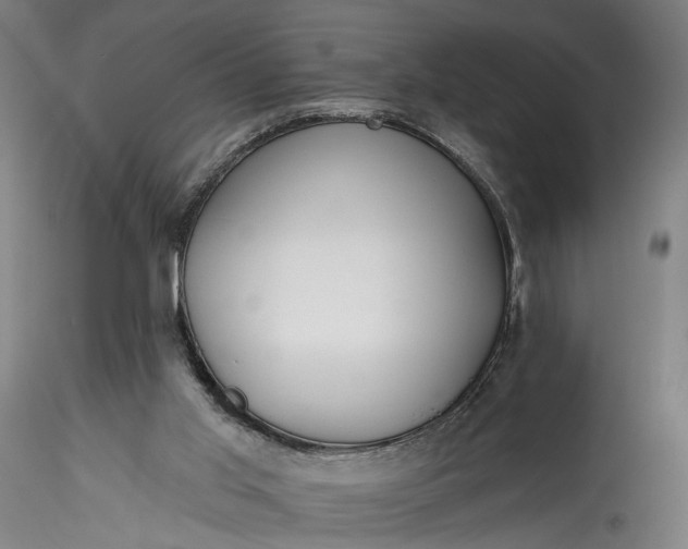 X0000115770013200911271151