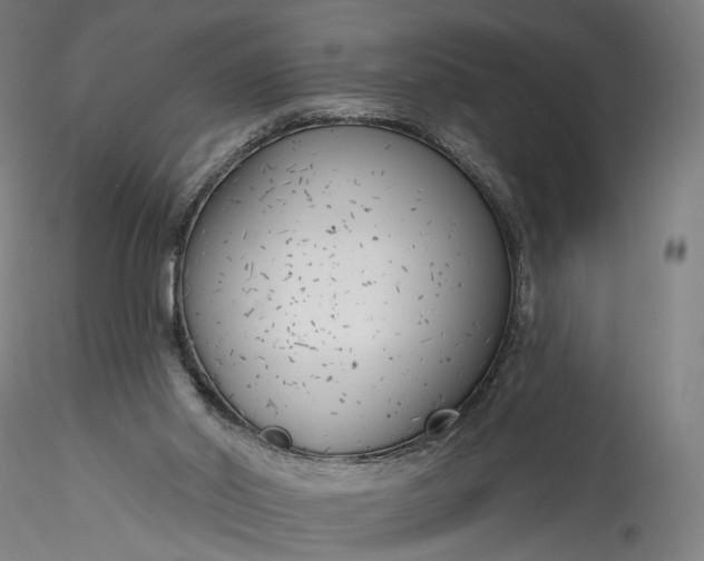 X0000115770014200911271151