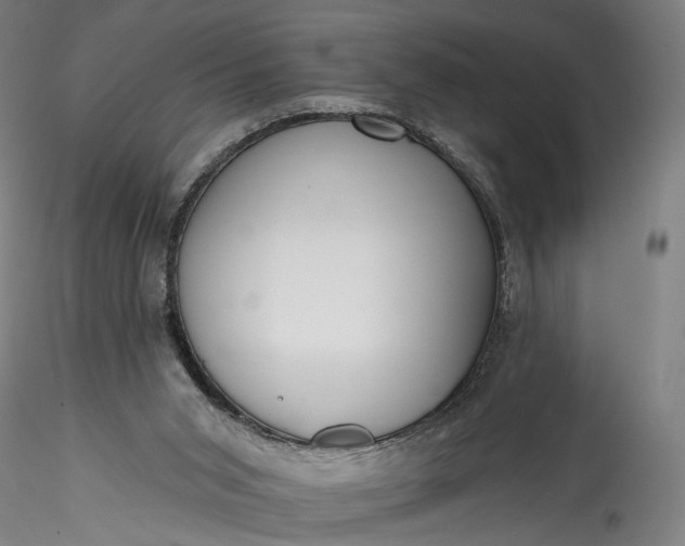 X0000115770015200911271151