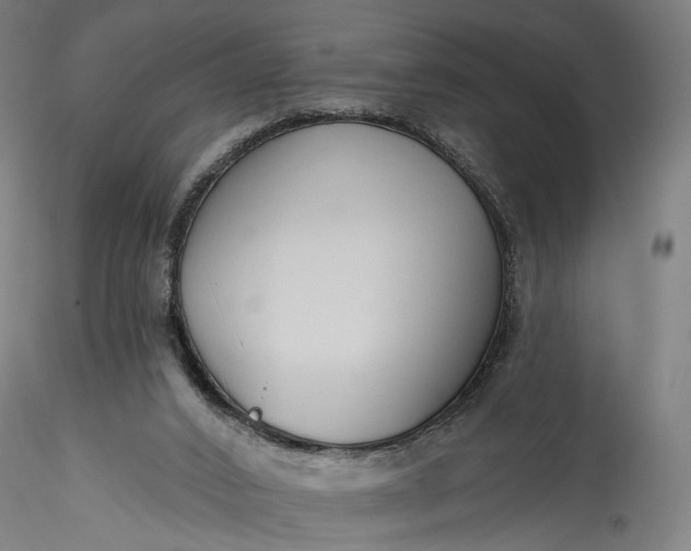 X0000115770016200911271151