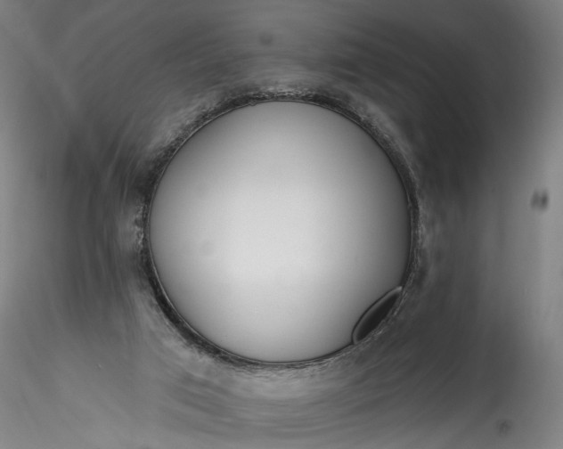 X0000115770017200911271151