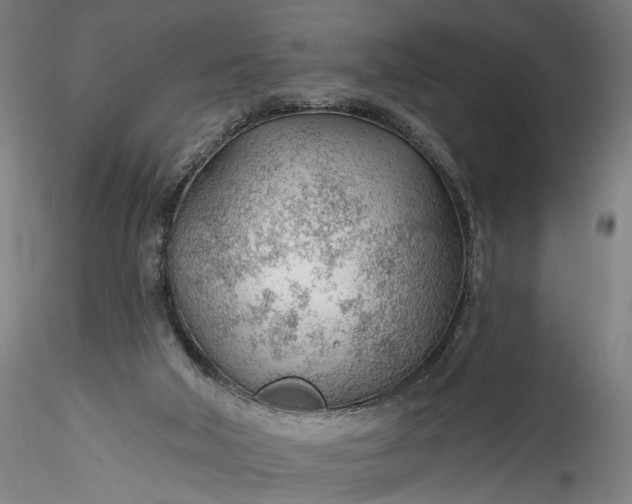 X0000115770018200911271151