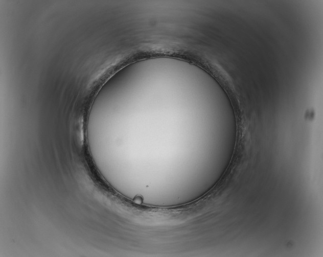 X0000115770020200911271151