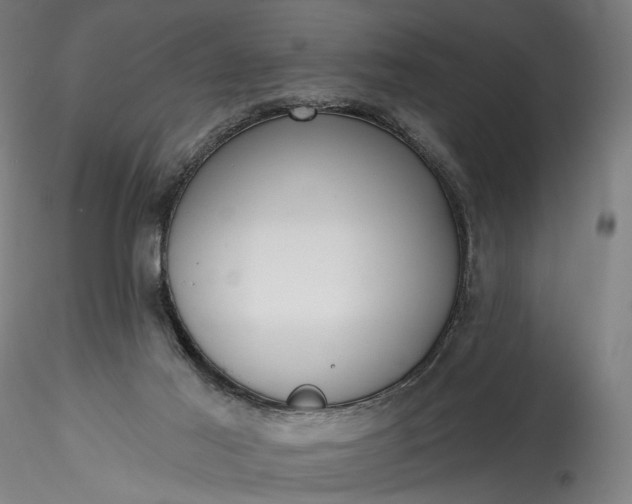 X0000115770021200911271151