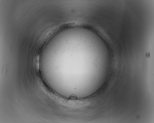 X0000115770022200911271151