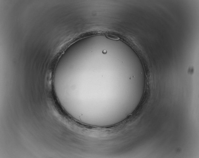 X0000115770024200911271151