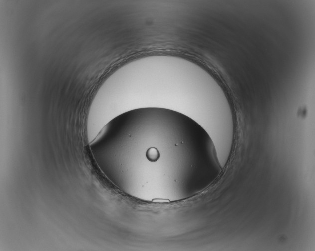 X0000115770025200911271151