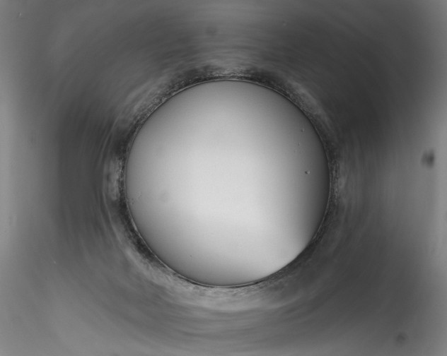 X0000115770026200911271151