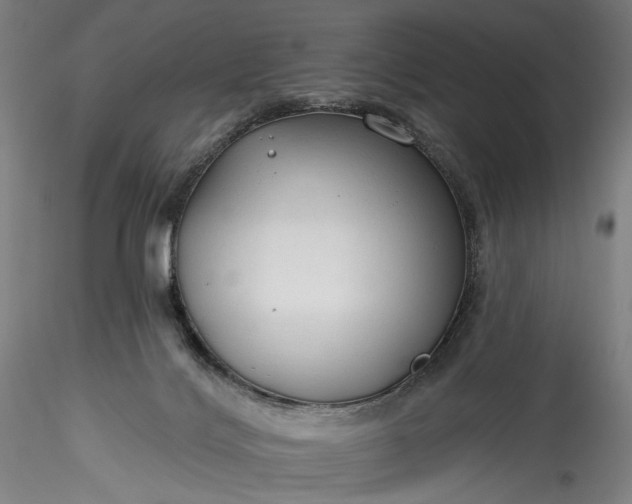 X0000115770028200911271151