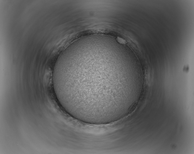 X0000115770029200911271151