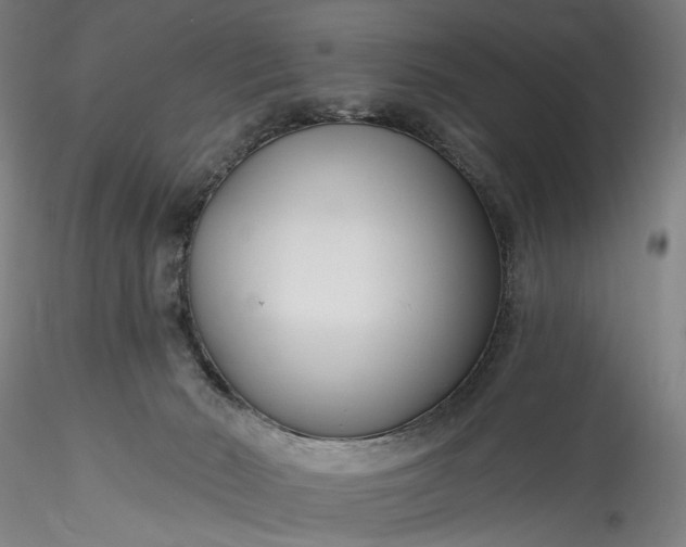 X0000115770030200911271151