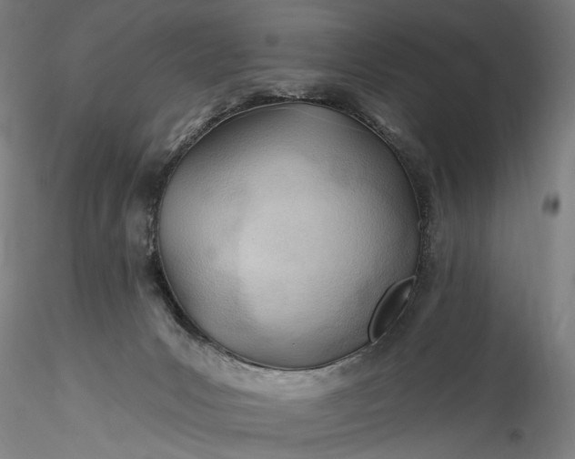 X0000115770031200911271151