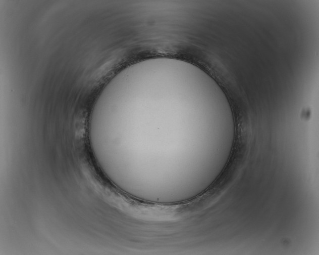 X0000115770032200911271151