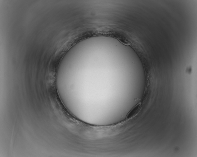 X0000115770033200911271151