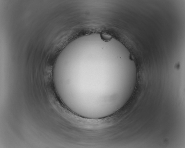 X0000115770034200911271151