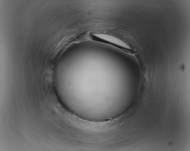 X0000115770035200911271151