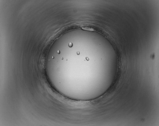 X0000115770036200911271151