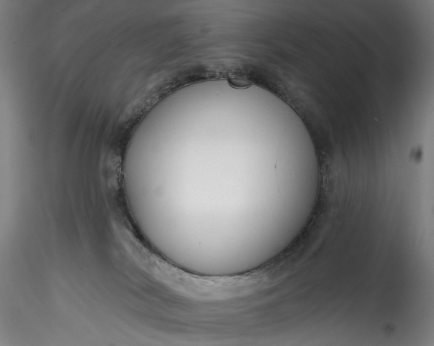 X0000115770038200911271151