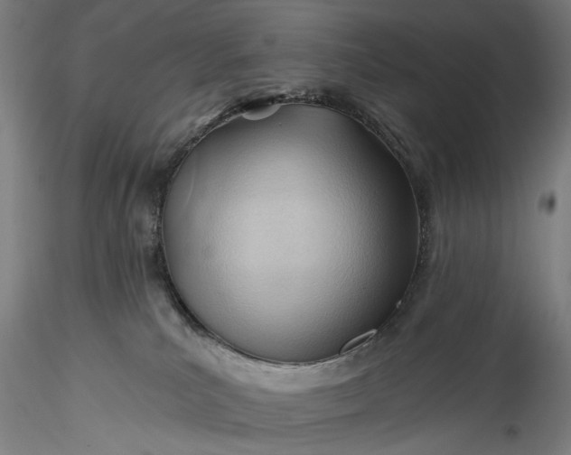 X0000115770039200911271151