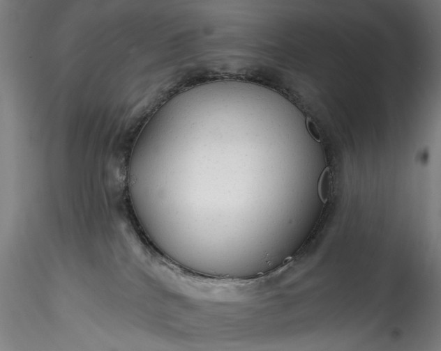 X0000115770040200911271151