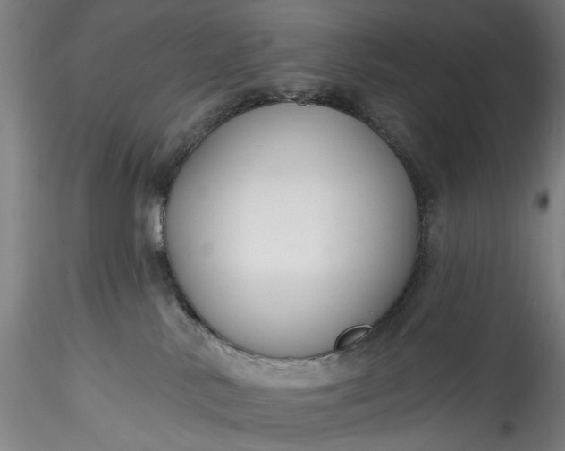 X0000115770042200911271151