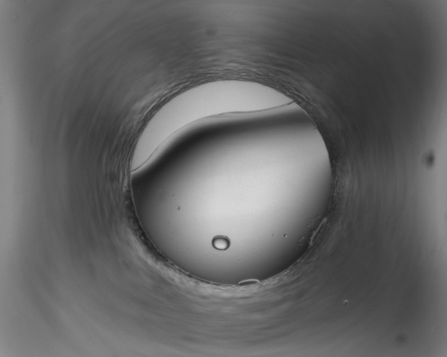 X0000115770043200911271151