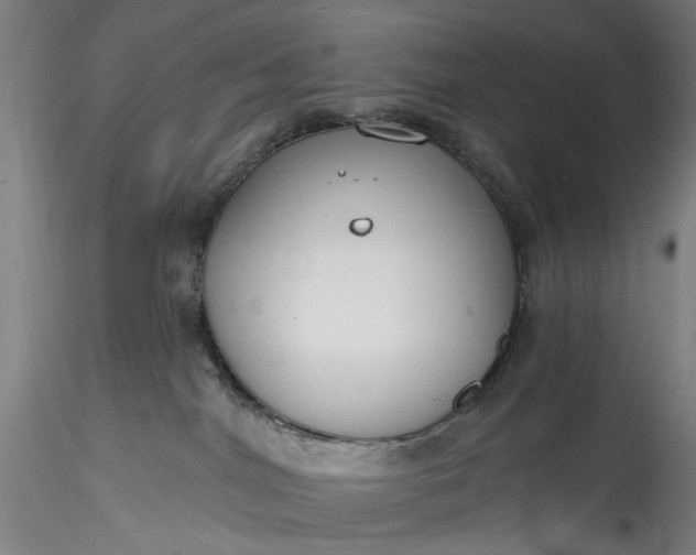 X0000115770044200911271151