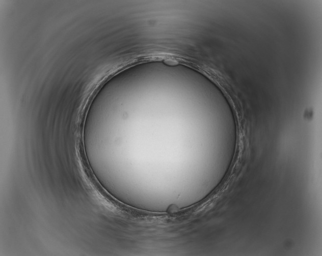 X0000115770049200911271150