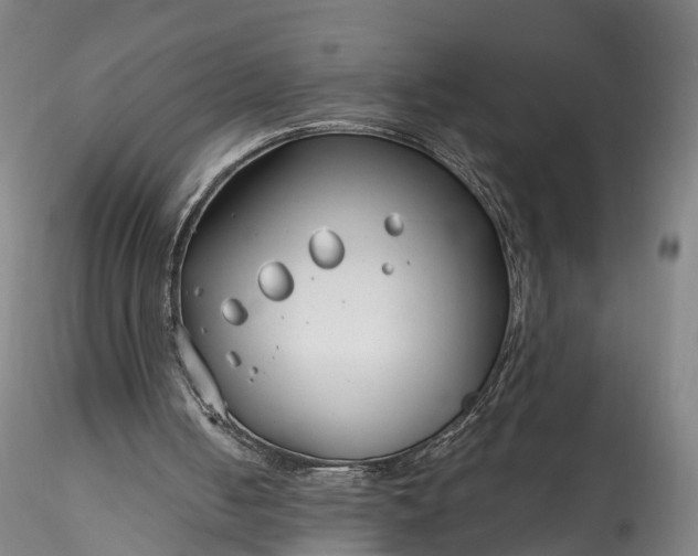 X0000115770050200911271150