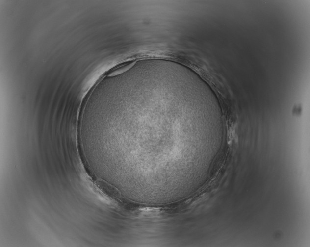 X0000115770052200911271150