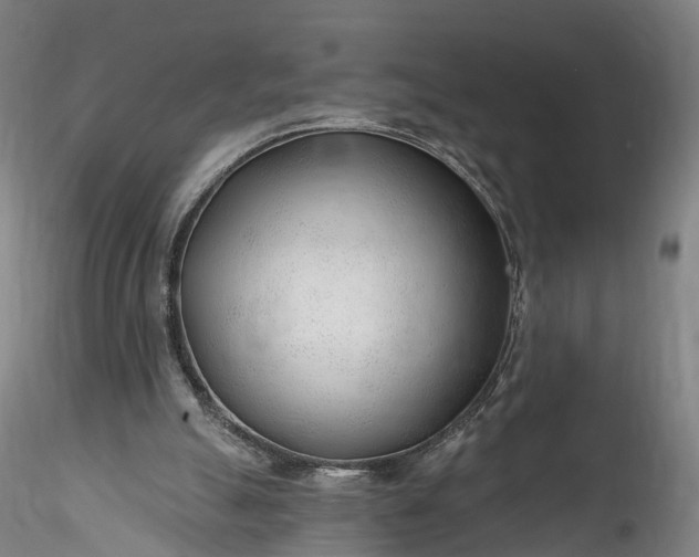 X0000115770055200911271150