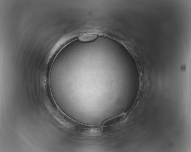 X0000115770056200911271150