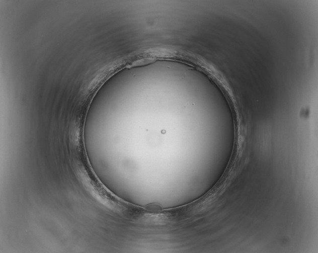 X0000115770057200911271150