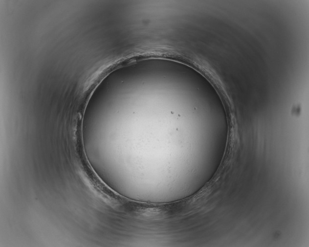 X0000115770058200911271150