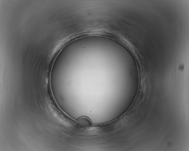 X0000115770059200911271150