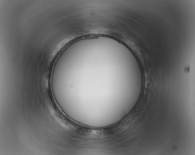 X0000115770060200911271150