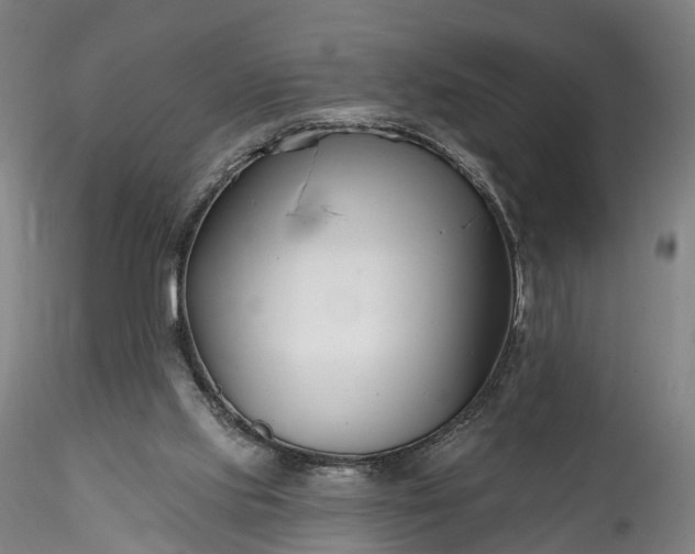 X0000115770061200911271150